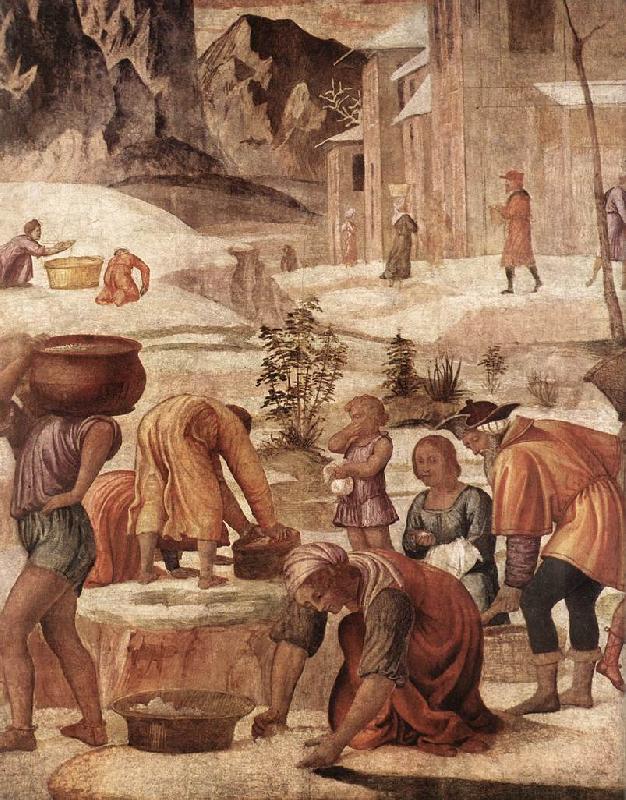 The Gathering of the Manna s, LUINI, Bernardino